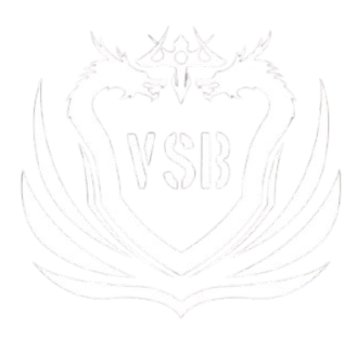 VSB Academy